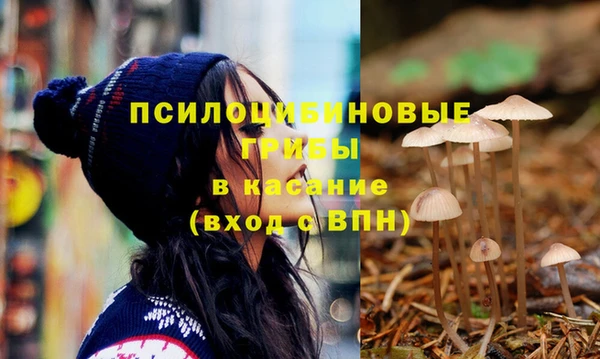 МДПВ Алексеевка