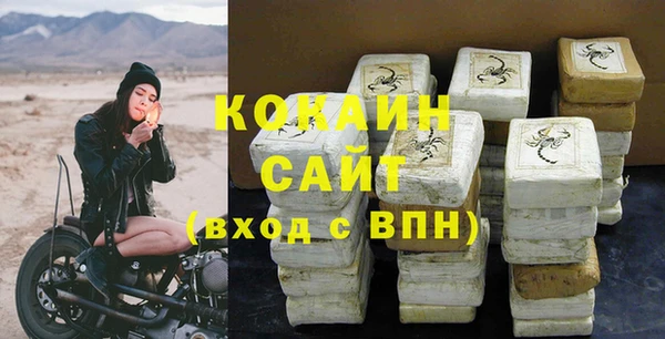 PSILOCYBIN Заводоуковск