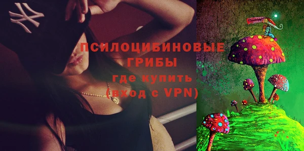 спайс Алексин