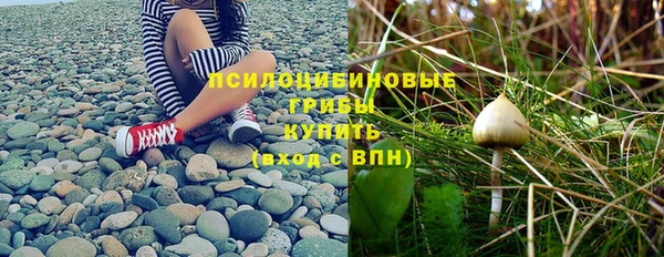 МДПВ Алексеевка
