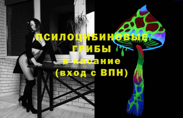 МДПВ Алексеевка