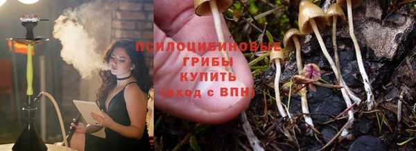 эйфоретик Дмитров