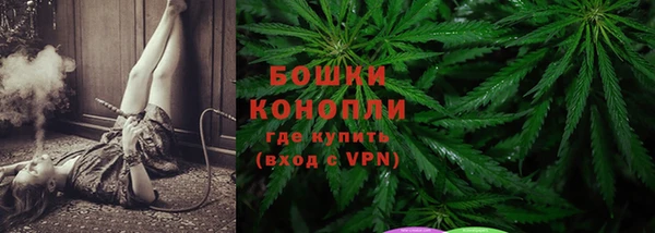 прущая мука Дмитриев